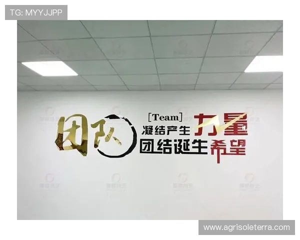 亚星网的企业文化与团队建设策略全面解析