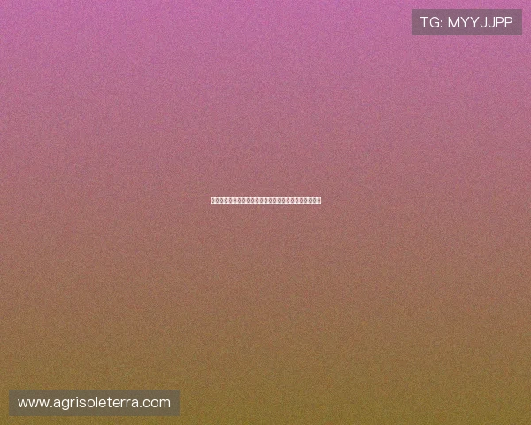 三公百家乐玩法技巧分享,提升你的游戏水平和获胜几率