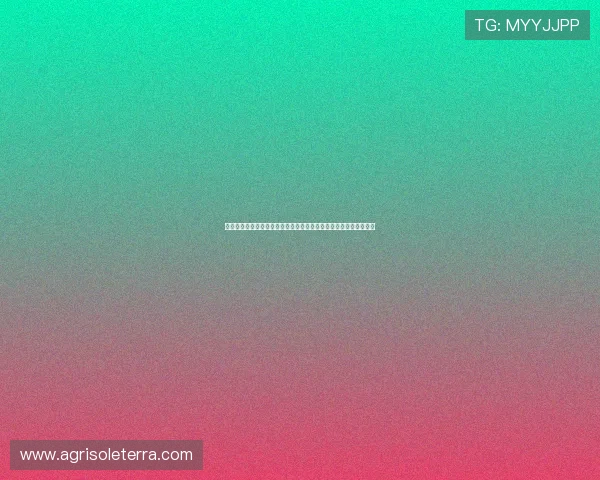 亚星娱乐棋牌技术支持与客服服务：快速响应与用户满意度提升方案