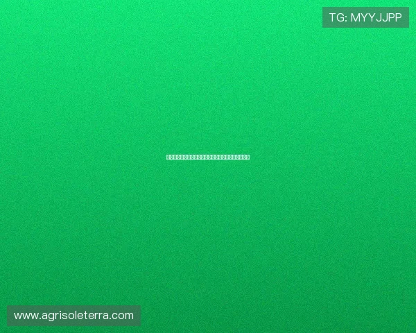 亚星平台玩家交流社区：加入讨论分享游戏心得与技巧