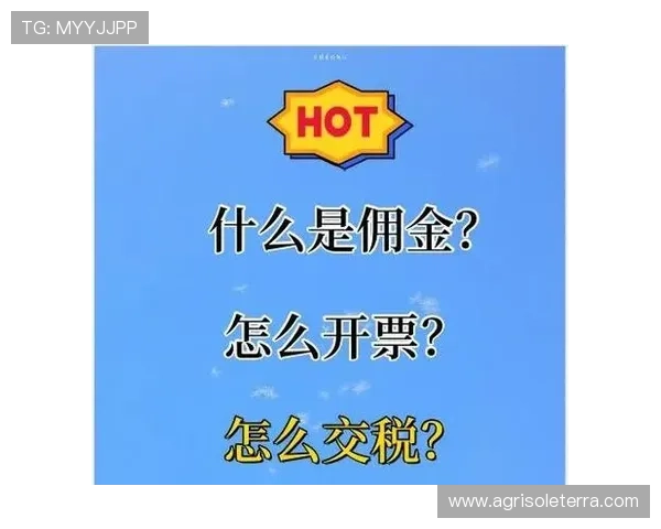 如何快速进行亚星代理佣金查询实现收益的实时掌控