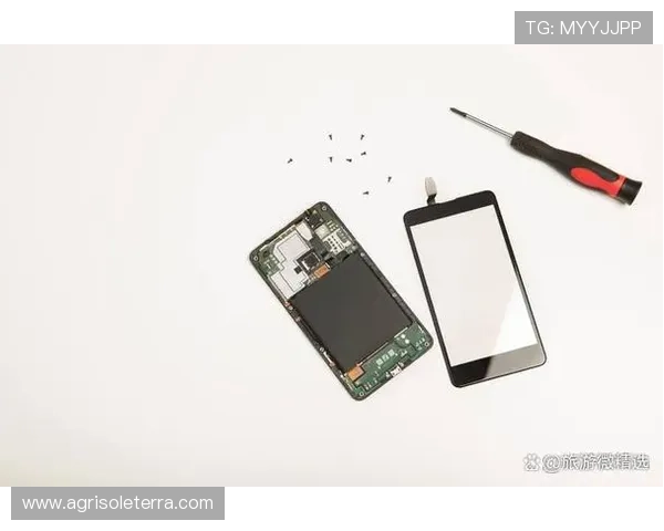 苹果手机用户安装亚星app下载的步骤详解及常见故障排查方法