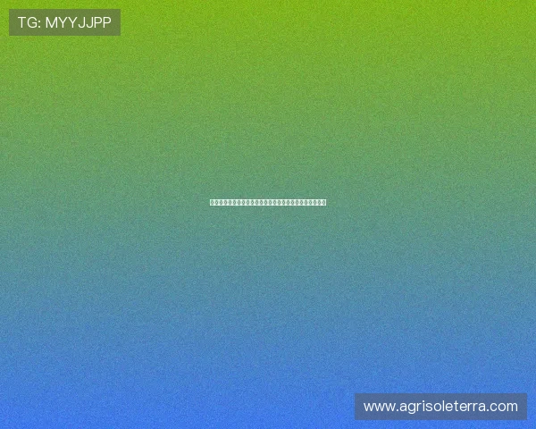 亚星娱乐手机版下载最新版本,轻松畅享丰富游戏娱乐体验