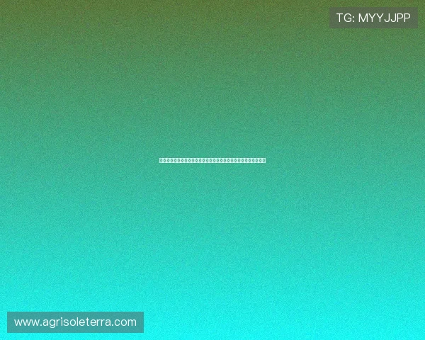 亚星娱乐线上登陆流程详解，帮助新手快速注册并顺利进入游戏世界