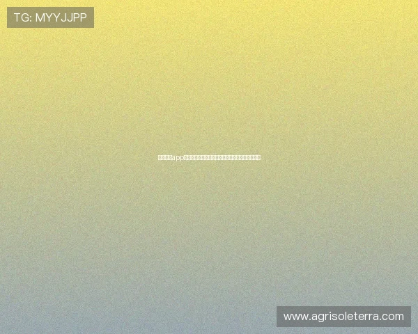 亚星官网app网址最新入口及使用指南帮助用户快速访问和下载