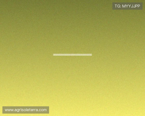 亚星娱乐游戏打造世界杯主题娱乐专区实现赛事资讯与互动娱乐深度融合