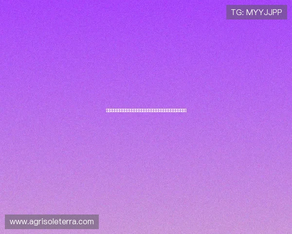 亚星官网登录密码重置指南助你轻松登录体育网站获取最新世界杯赛事资讯
