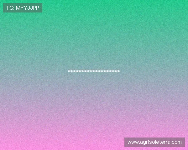 亚星手机版优惠活动全面开启为足球迷提供丰富世界杯相关优惠与独家资讯