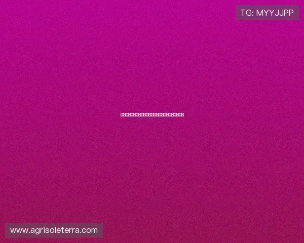 亚星正网会员权益详解：世界杯期间专属内容与互动福利